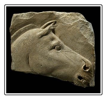 Sculptor's model of a horse's head